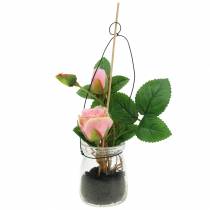 Artikel Rose i et glas Rosa H23cm