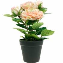 Artikel Dekorativ rose i en krukke, romantiske silkeblomster, pink pæon