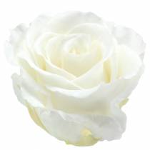 Artikel Infinity Roses Large Ø5,5-6cm Hvid 6 stk