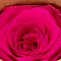 Artikel Konserverede rosendekorationer, ægte blomster til borddekoration, unikke og bæredygtige blomster, 5 cm, 6 stk.