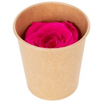Artikel Konserverede rosendekorationer, ægte blomster til borddekoration, unikke og bæredygtige blomster, 5 cm, 6 stk.