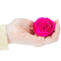 Artikel Konserverede rosendekorationer, ægte blomster til borddekoration, unikke og bæredygtige blomster, 5 cm, 6 stk.