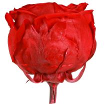 Artikel Røde roser Infinity Roser Ægte rosenhoveder Røde Ø6cm 6 stk