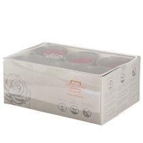 Artikel Røde roser Infinity Roser Ægte rosenhoveder Røde Ø6cm 6 stk