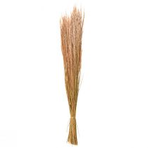 Artikel Rødt Bøjet Græs Agrostis Tørt Græs Rød Brun 65cm 80g