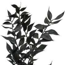 Ruscus grene dekorative grene tørrede blomster sorte 200g