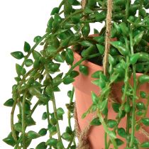 Artikel Kunstige sukkulenter hængende kunstig plante i potte 34cm