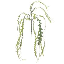 Artikel Kunstsavbladskaktus Epiphyllum anguliger L68cm 3 stk