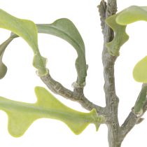 Artikel Kunstsavbladskaktus Epiphyllum anguliger L68cm 3 stk