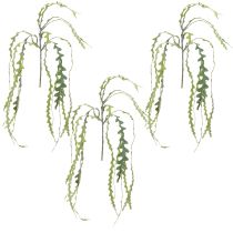 Artikel Kunstsavbladskaktus Epiphyllum anguliger L68cm 3 stk