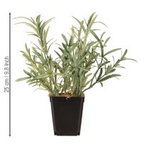 Artikel Salvie i Pot Salvia Lavandulifolia Kunstig H25cm