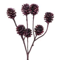 Artikel Salignum grene med kogler Berry 25 stk