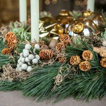 Artikel Salignum gren lyse leucadendron blomster på grenen 25 stk