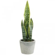 Kunstig buehamp, grøn plante i potte, Sansevieria H39cm Ø12cm