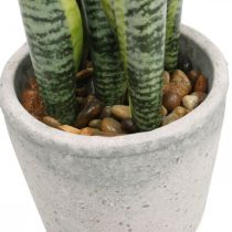 Kunstig buehamp, grøn plante i potte, Sansevieria H39cm Ø12cm