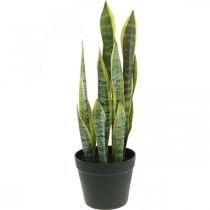 Sansevieria, kunstig blomst, sløjfehamp i potte H50cm Ø14cm
