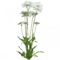 Artikel Scabiose kunstig blomst hvid haveblomst H64cm bundt med 3 stk