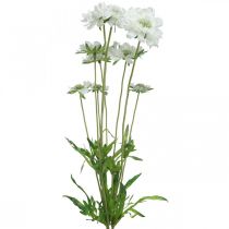 Artikel Scabious kunstig blomst hvid haveblomst H64cm bundt med 3 stk