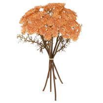 Artikel Kunstige røllikeblomster Achillea kunstig orange 30 cm 6 stk