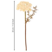 Artikel Kunstig røllikecreme Achillea kunstige blomster 30 cm 6 stk
