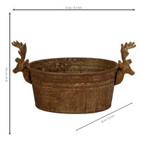 Artikel Dekorativ skål, rensdyrhoved, oval, rustfarvet, rustik, 41 cm