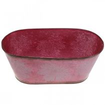 Artikel Skål med bladdekoration, planter, efterårsdekoration, metalpotte vin rød L38cm H15cm