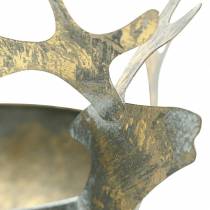 Artikel Skål med rensdyrhoved gyldent antik look metal Ø14cm