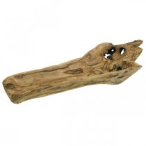 Dekorativ skål Paulownia træ, blomsterbakke, trækar L58cm H7–8cm