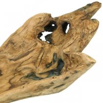Dekorativ skål Paulownia træ, blomsterbakke, trækar L58cm H7–8cm