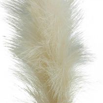 Feather Grass Creme kinesisk siv kunstigt tørt græs 100 cm 3 stk.