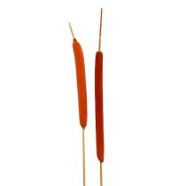 Artikel Rørløgsblanding orange 100 stk