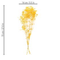 Artikel Tørret blomsterbuket med babyånde. Dekorative blomstrende grene, der er velegnede til sæsonbestemt bordpynt. 70 cm.