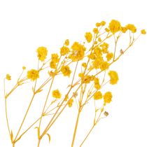 Artikel Tørret blomsterbuket med babyånde. Dekorative blomstrende grene, der er velegnede til sæsonbestemt bordpynt. 70 cm.