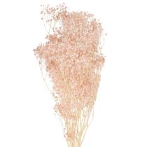 Artikel Gypsophila Dekoration Orange Tørrede Græsser Fersken 65-70cm 100g