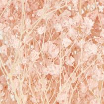 Artikel Gypsophila Dekoration Orange Tørrede Græsser Fersken 65-70cm 100g