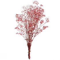 Artikel Gypsophila Gypsophila Tørrede Blomster Rød 50cm 55g