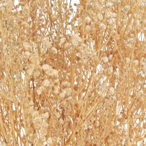 Artikel Gypsophila Stedmoderblomst Gips Urt Hvide blomster 50cm 55g