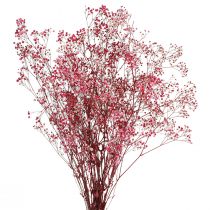 Artikel Gypsophila paniculate gipsurt i bær L50cm 55g
