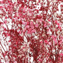 Artikel Gypsophila paniculate gipsurt i bær L50cm 55g