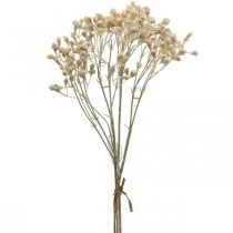 Artikel Kunstig gypsophila creme gypsophila 46cm bundt af 3 stk