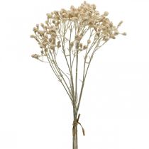 Artikel Kunstig Gypsophila Creme Gypsophila 46cm bundt af 3 stk