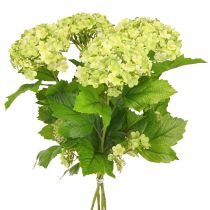 Artikel Snebold kunstige blomster Viburnum kunstgrøn 61cm 4 stk