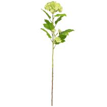 Artikel Snebold kunstige blomster Viburnum kunstgrøn 61cm 4 stk