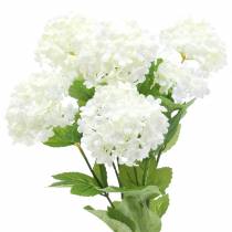 Snowball Viburnum Gren Hvid 42,5 cm