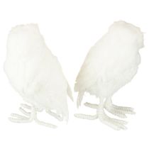 Artikel Sneugle Dekorativ Ugle Hvid med Pels og Fjer 15,5 cm 2 stk.