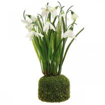 Kunstig vintergæk, kunstig vintergæk blomst 25cm
