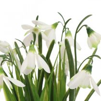 Kunstig vintergæk, kunstig vintergæk blomst 25cm