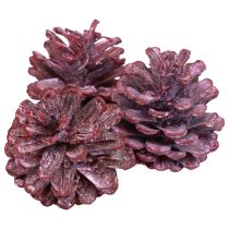 Sorte fyrrekogler rød naturlig dekoration frostet 5-7cm 1kg