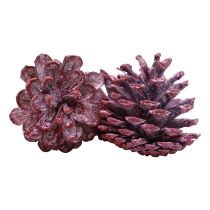 Artikel Sorte fyrrekogler rød naturlig dekoration frostet 5-7cm 1kg