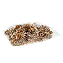 Artikel Sorte kogler dekorative kogler creme 5-8cm 1kg